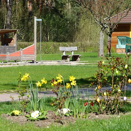 Ferienzentrum Trassenmoor شقة